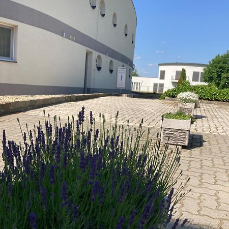 Nautilus Etterem Es Panzio Hotel Dabas Exterior foto